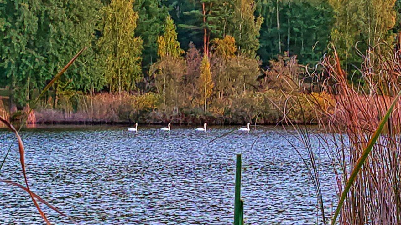 Hotel Pensiunea Lacul Mocearu Budesti  Exterior foto