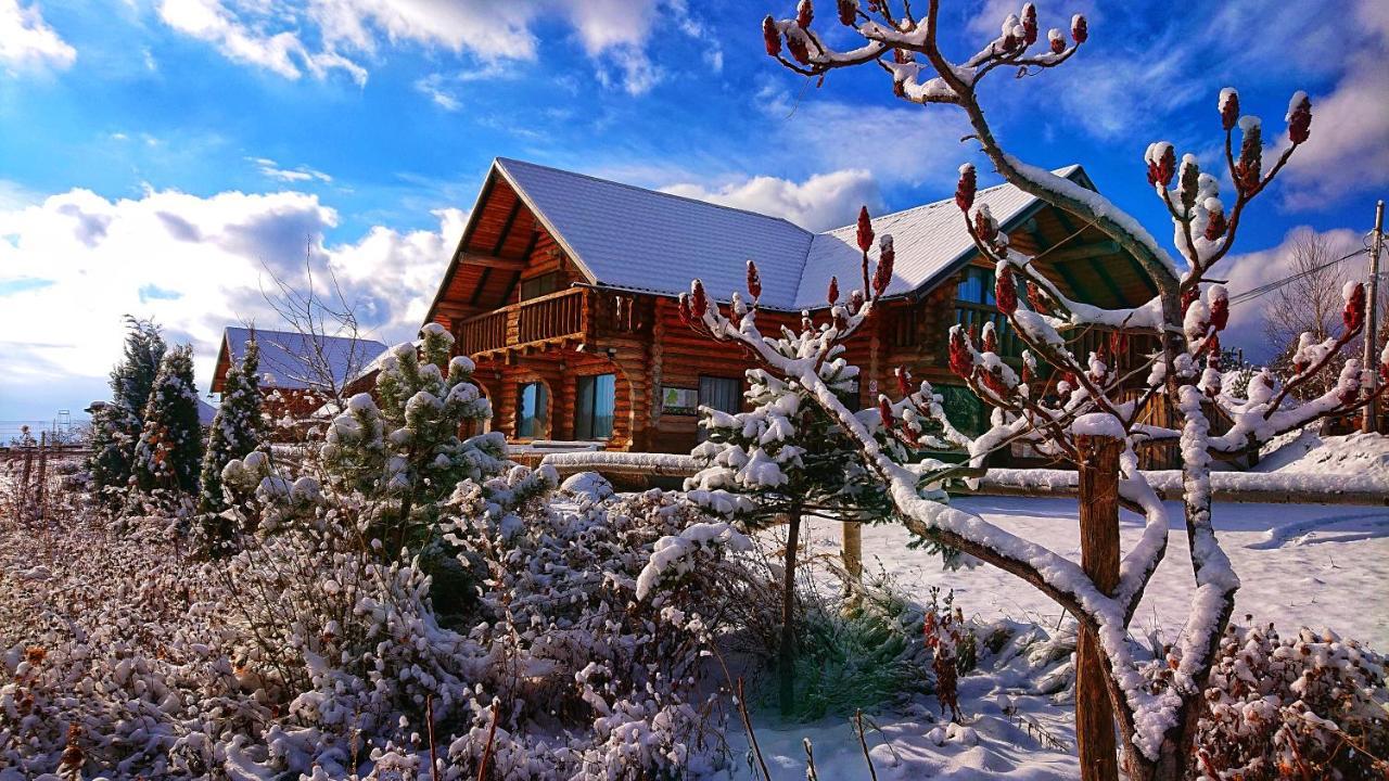 Hotel Pensiunea Lacul Mocearu Budesti  Exterior foto