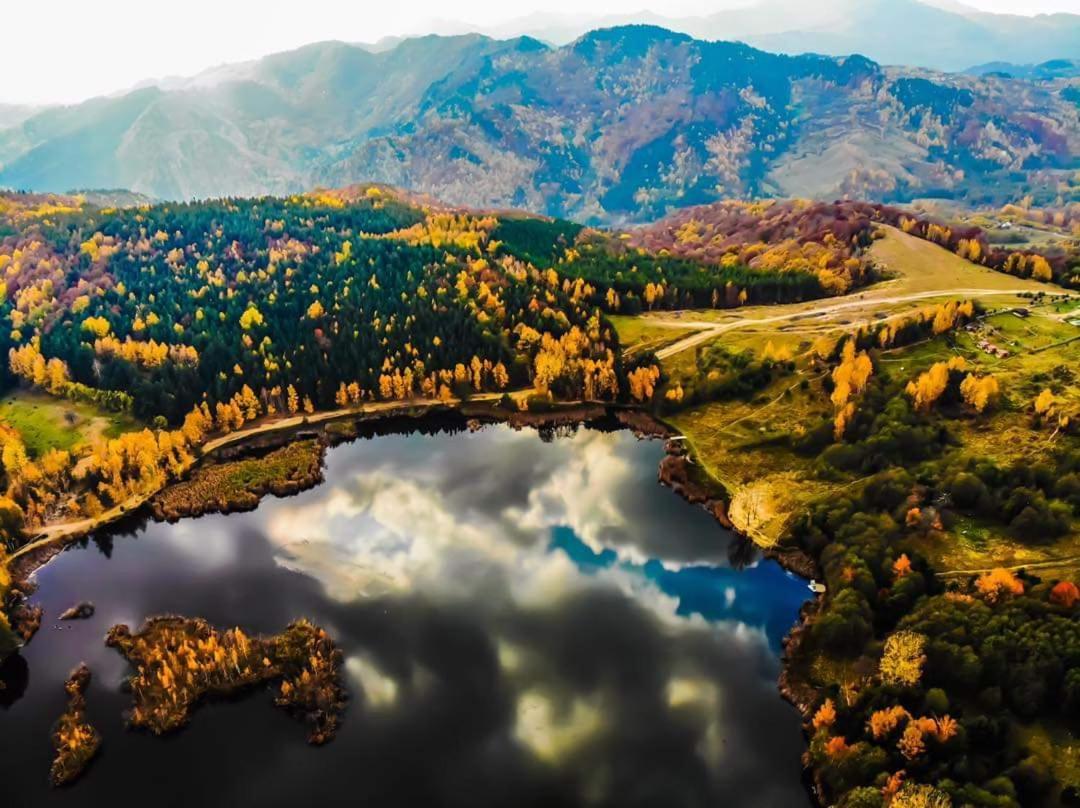 Hotel Pensiunea Lacul Mocearu Budesti  Exterior foto