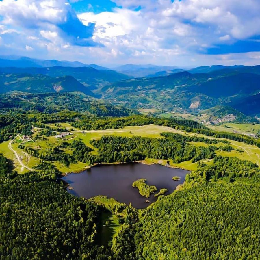 Hotel Pensiunea Lacul Mocearu Budesti  Exterior foto