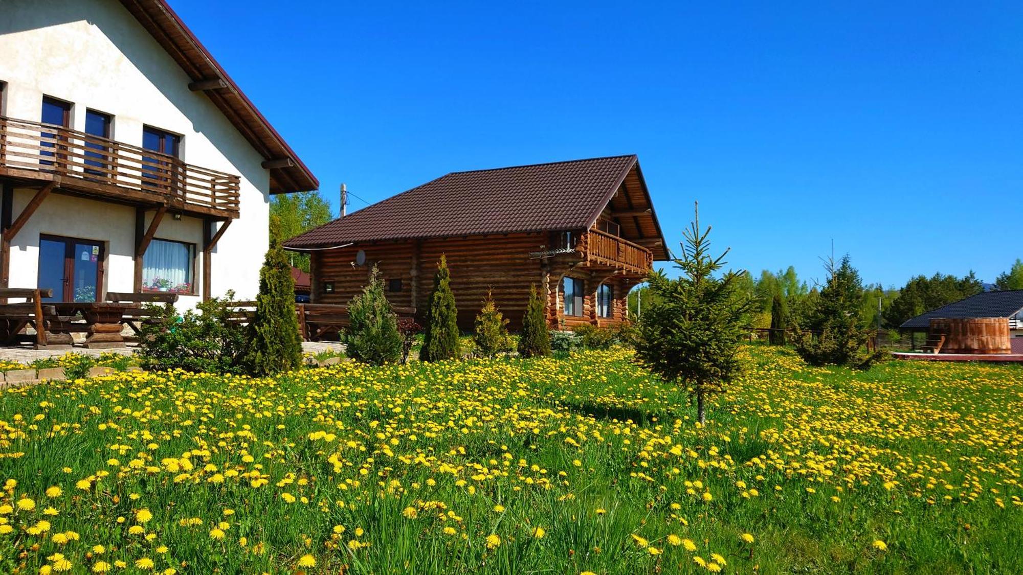 Hotel Pensiunea Lacul Mocearu Budesti  Exterior foto